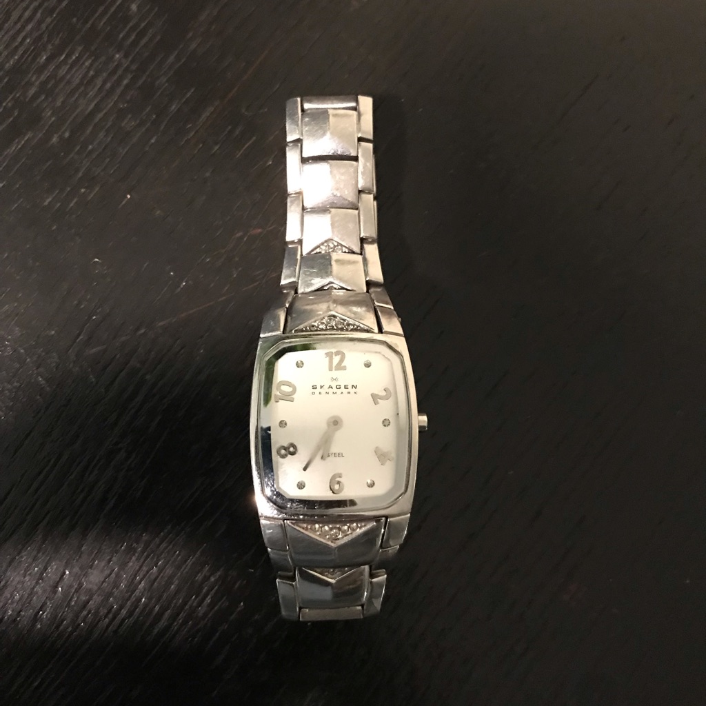 Skagen Watch Silver